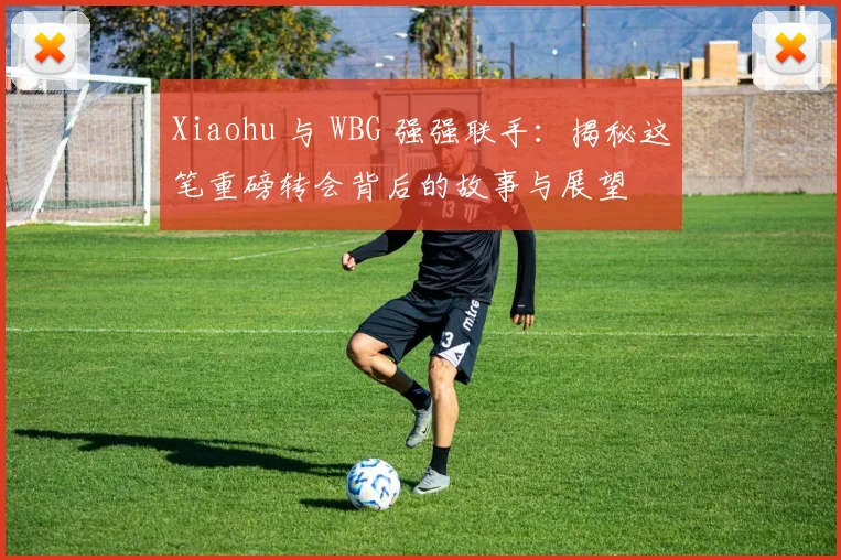 Xiaohu 与 WBG 强强联手:揭秘这笔重磅转会背后的故事与展望