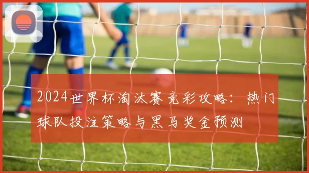 2024世界杯淘汰赛竞彩攻略:热门球队投注策略与黑马奖金预测
