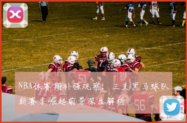 NBA休赛期补强观察：三支黑马球队新赛季崛起前景深度解析