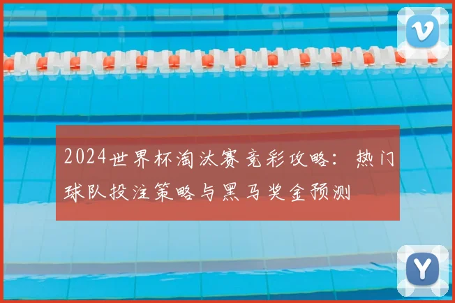 2024世界杯淘汰赛竞彩攻略:热门球队投注策略与黑马奖金预测