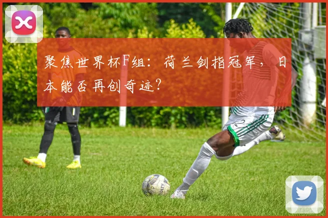 聚焦世界杯F组：荷兰剑指冠军，日本能否再创奇迹？